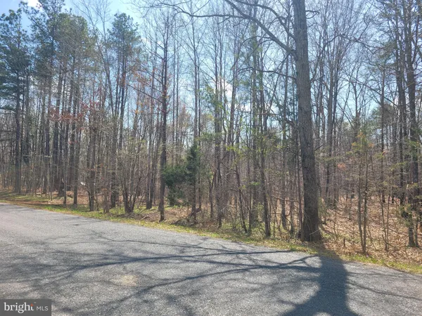 a view of a park with large trees