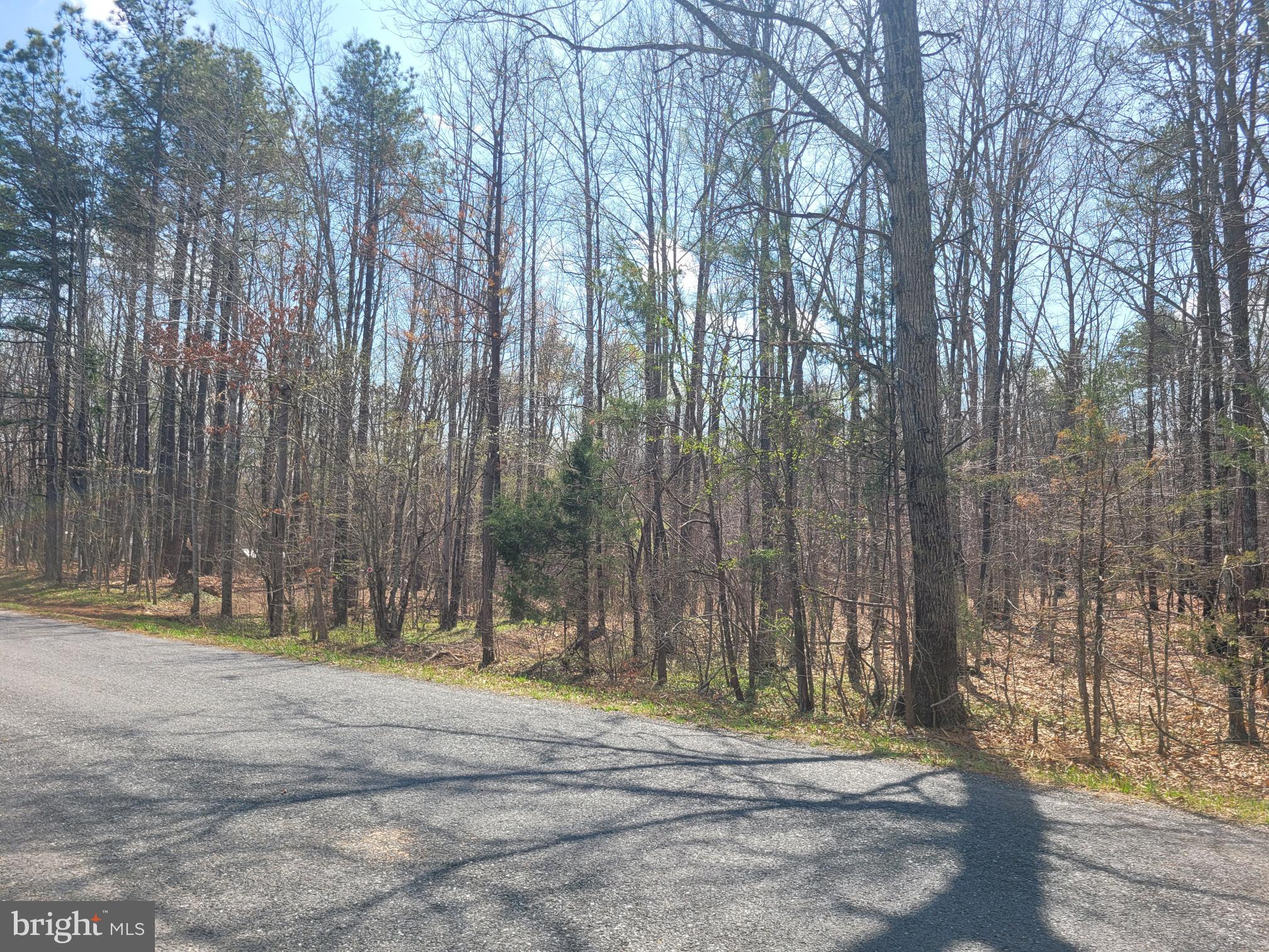 Texas School Road Wingina, VA 24599 - Photo 2 of 4