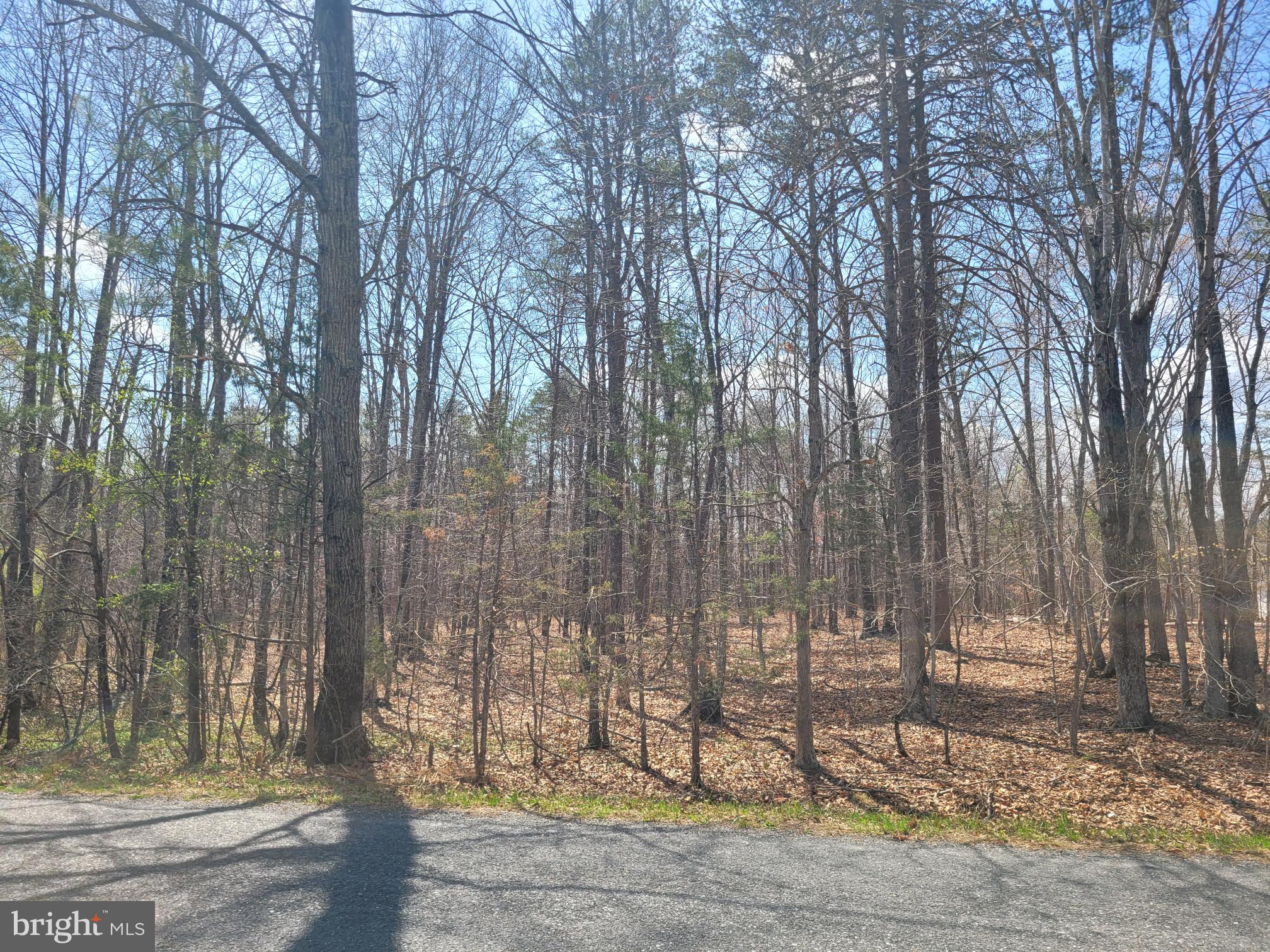 Texas School Road Wingina, VA 24599 - Photo 3 of 4