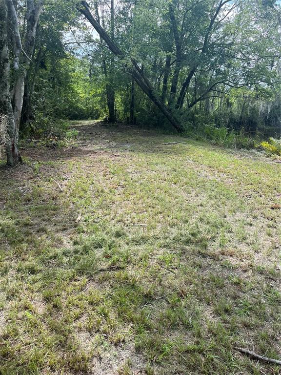 11226 Clarence Bennett Road Sanderson, FL 32087 - Photo 10 of 11