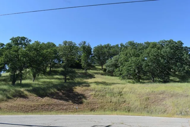 a view of a yard with a tree