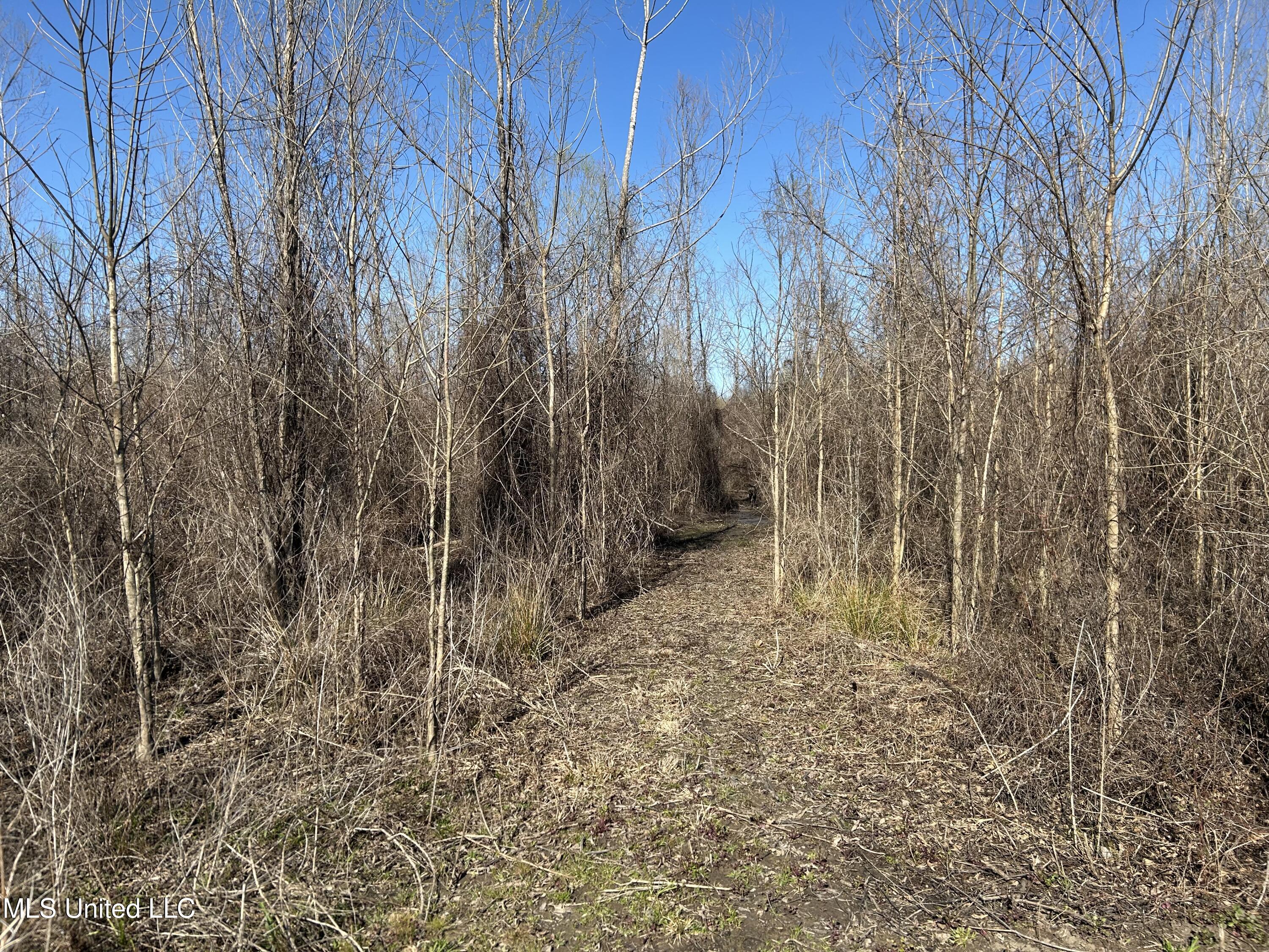 Ms-16 Rolling Fork, MS 39159 - Photo 16 of 43 Photo Mar 11 2025, 4 12 45 PM