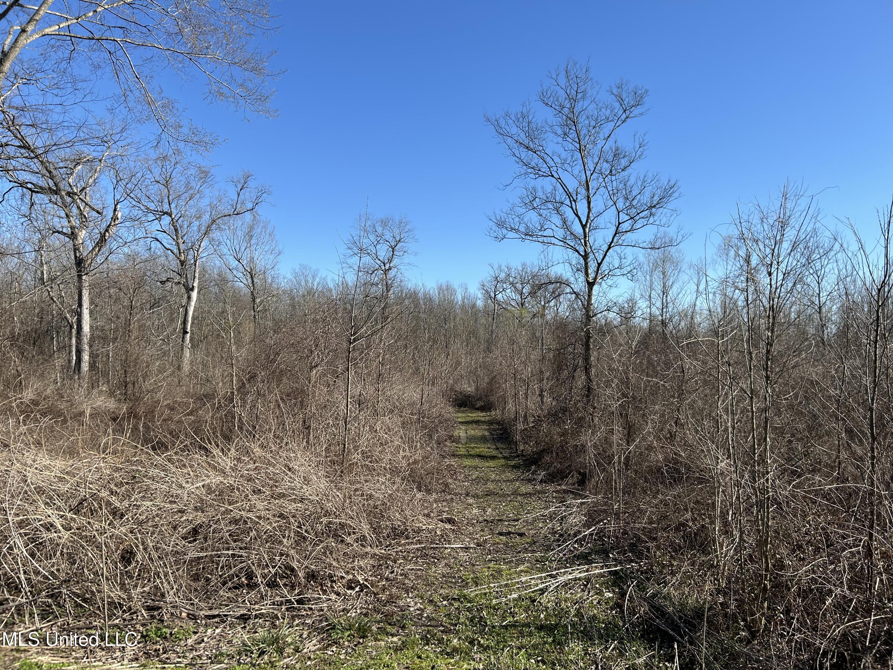 Ms-16 Rolling Fork, MS 39159 - Photo 23 of 43 Photo Mar 11 2025, 4 18 50 PM