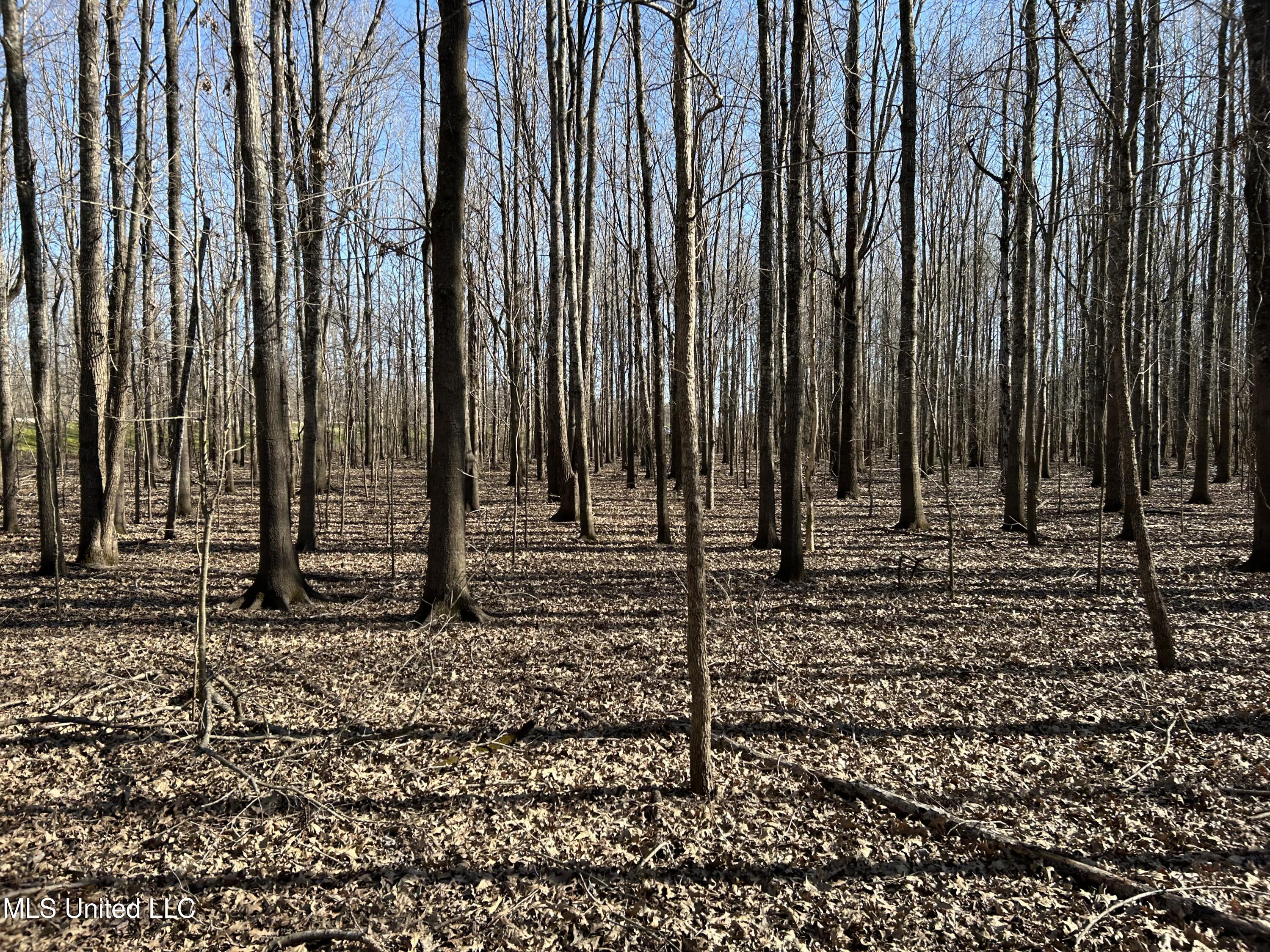 Ms-16 Rolling Fork, MS 39159 - Photo 31 of 43 Photo Mar 11 2025, 4 27 08 PM