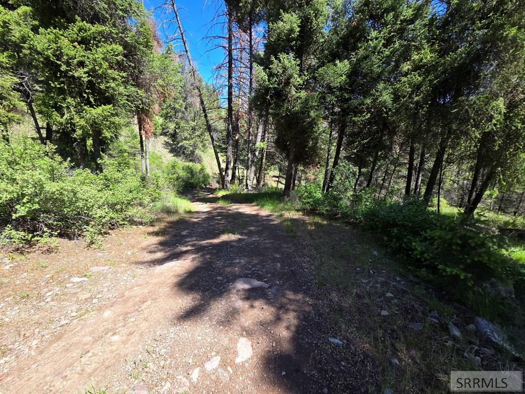 21 Pinetree Drive Salmon, ID 83467 - Photo 45 of 71
