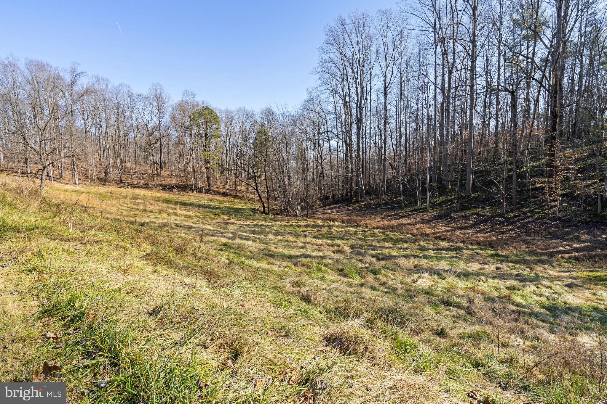 418 Round Hill Road Boston, VA 22713 - Photo 2 of 22 Pretty setting in private location