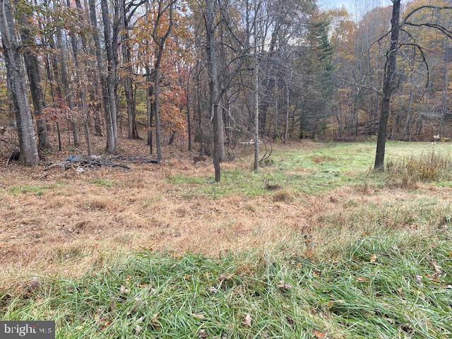 418 Round Hill Road Boston, VA 22713 - Photo 19 of 22 Field
