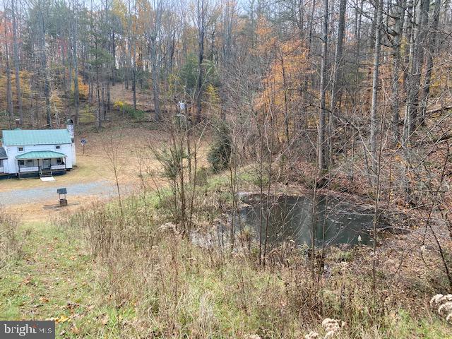418 Round Hill Road Boston, VA 22713 - Photo 20 of 22 Pond near house