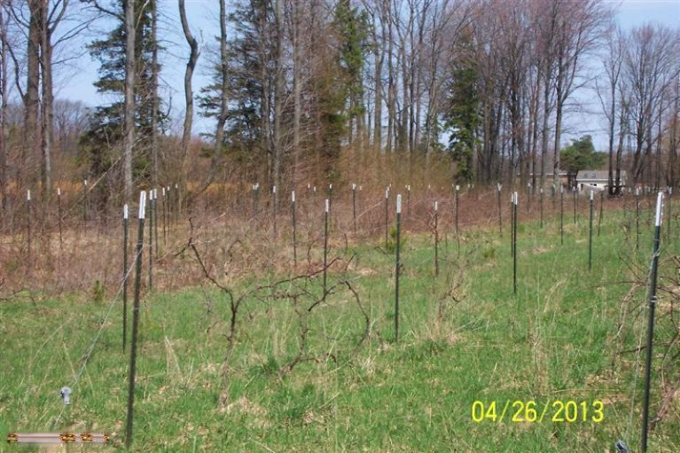 15637 Riley Street Holland, MI 49424 - Photo 16 of 21 Additional Photo