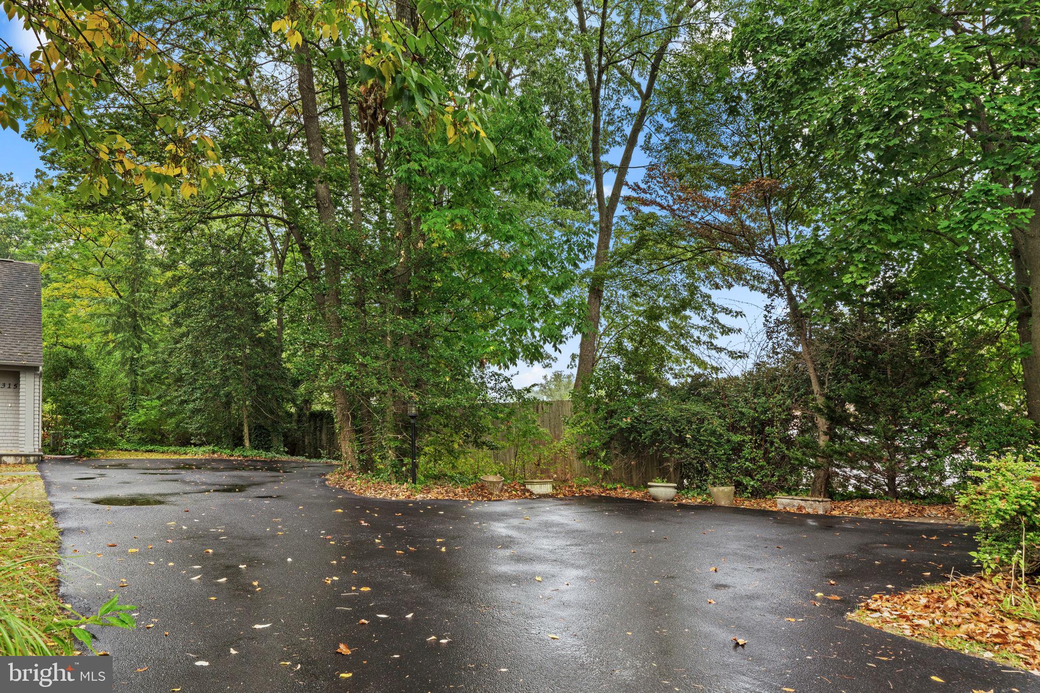 315 Rutgers Avenue Swarthmore, PA 19081 - Photo 5 of 135