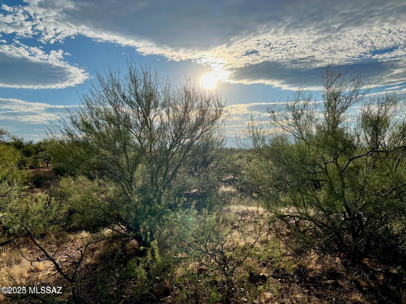 15966 West Phillips Road, Unit 270 Tucson, AZ 85736 - Photo 15 of 17 Gallery Image 15