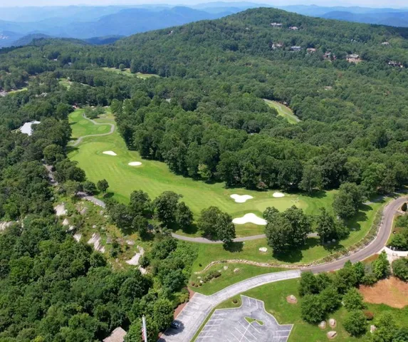 $8,000 | Lot 40 Snap Dragon Way, Landrum, SC 29356