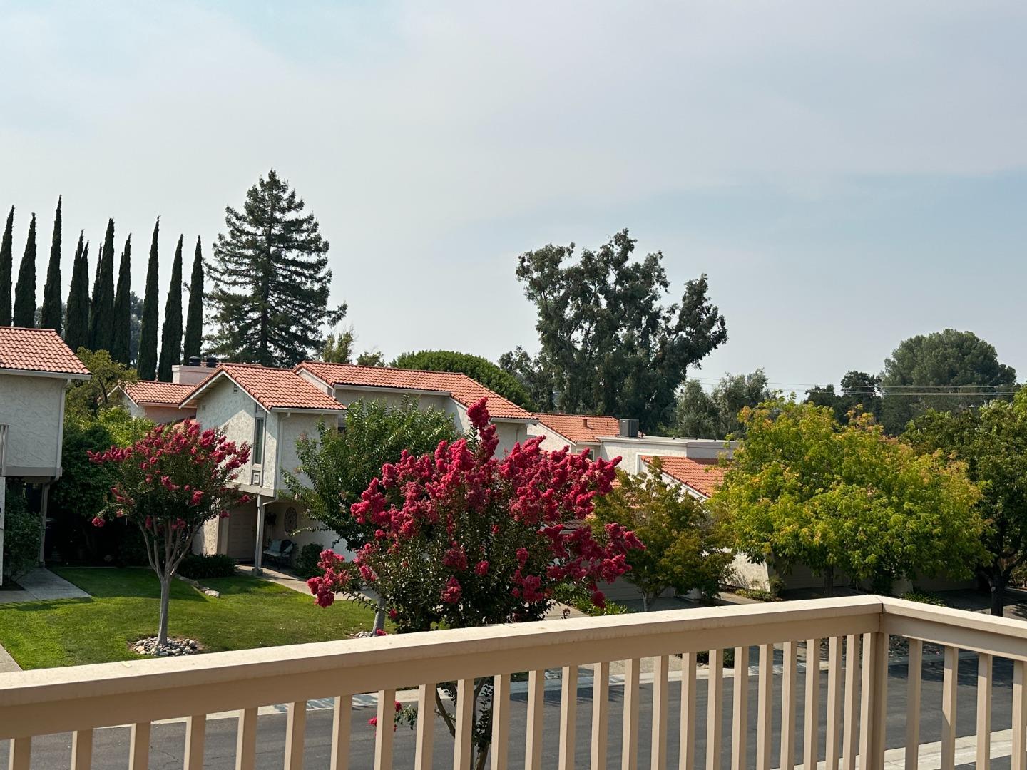 145 Calle Larga Los Gatos, CA 95032 - Photo 17 of 26 a view of a house with a yard and potted plants