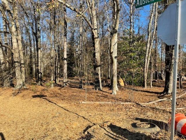4595 Austell Powder Springs Road Southwest Austell, GA 30106 - Photo 11 of 16