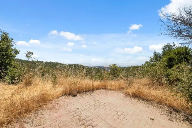 a view of a yard with a mountain