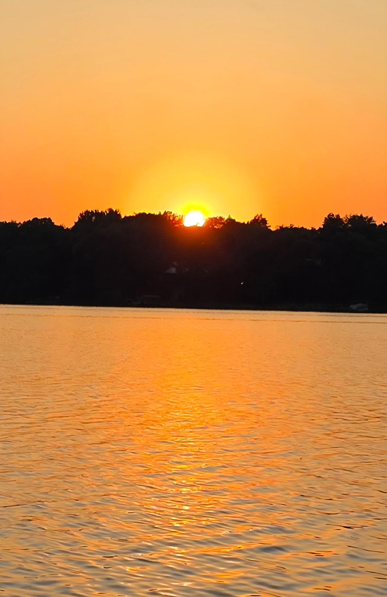 3717 Sebie Lake Road Fort Ripley, MN 56449 - Photo 35 of 35