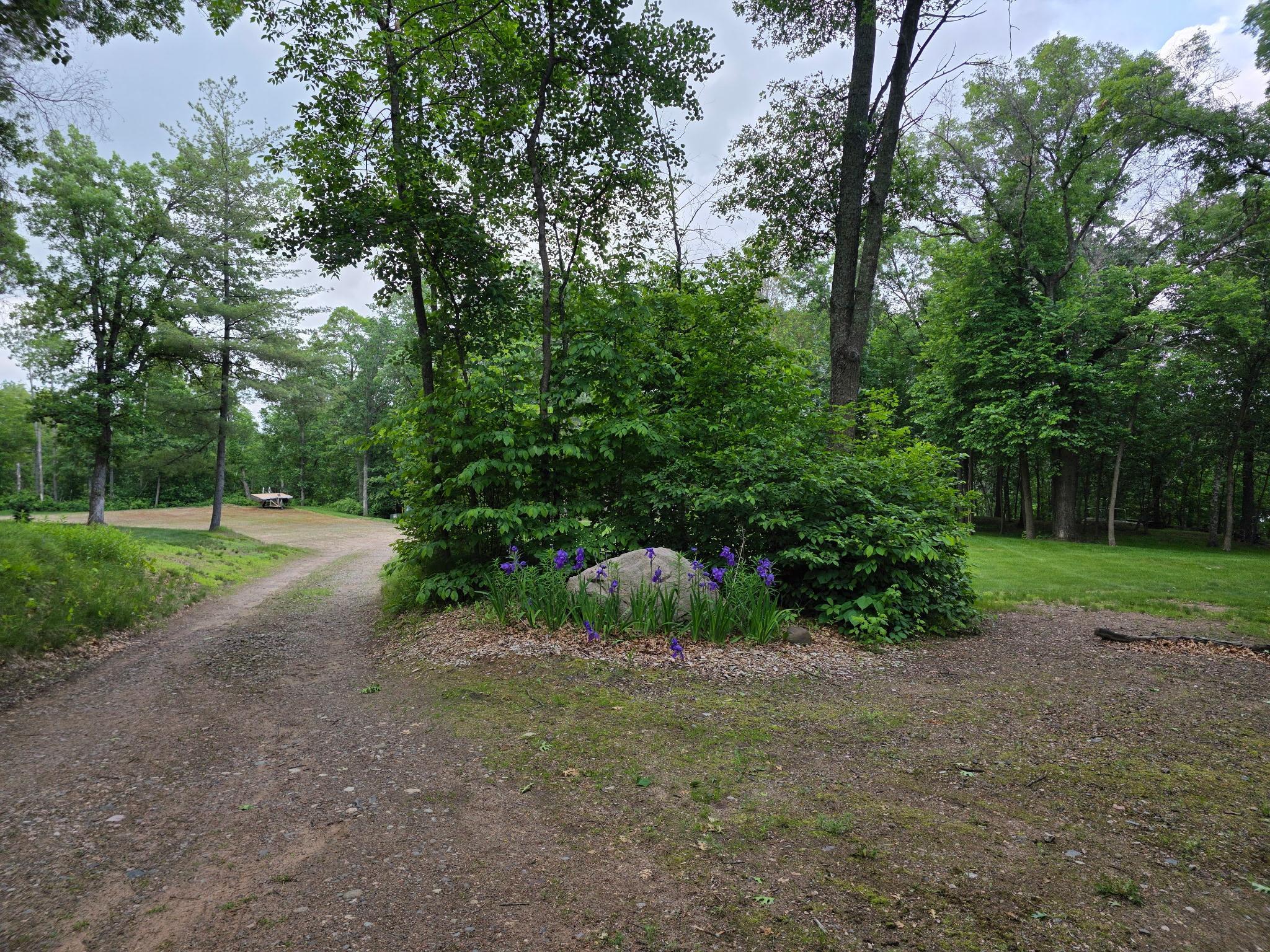 3717 Sebie Lake Road Fort Ripley, MN 56449 - Photo 7 of 35