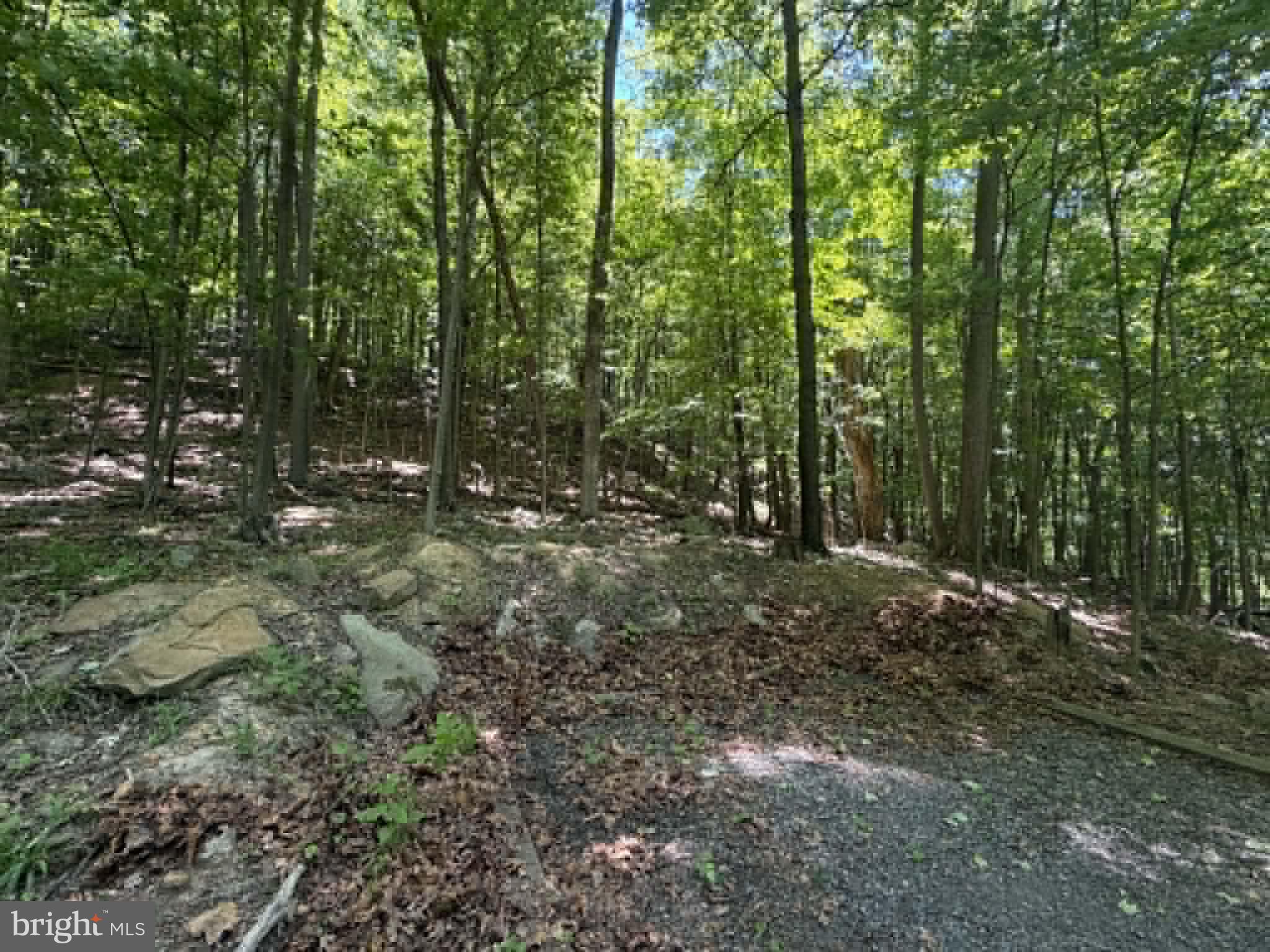 1515 Barnum Road Keyser, WV 26726 - Photo 19 of 64