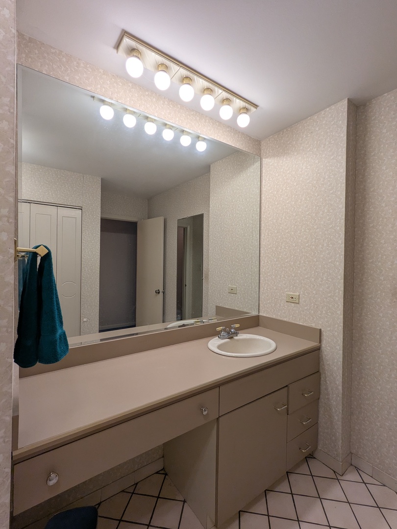 410 Ashland Avenue, Unit 1A River Forest, IL 60305 - Photo 24 of 32