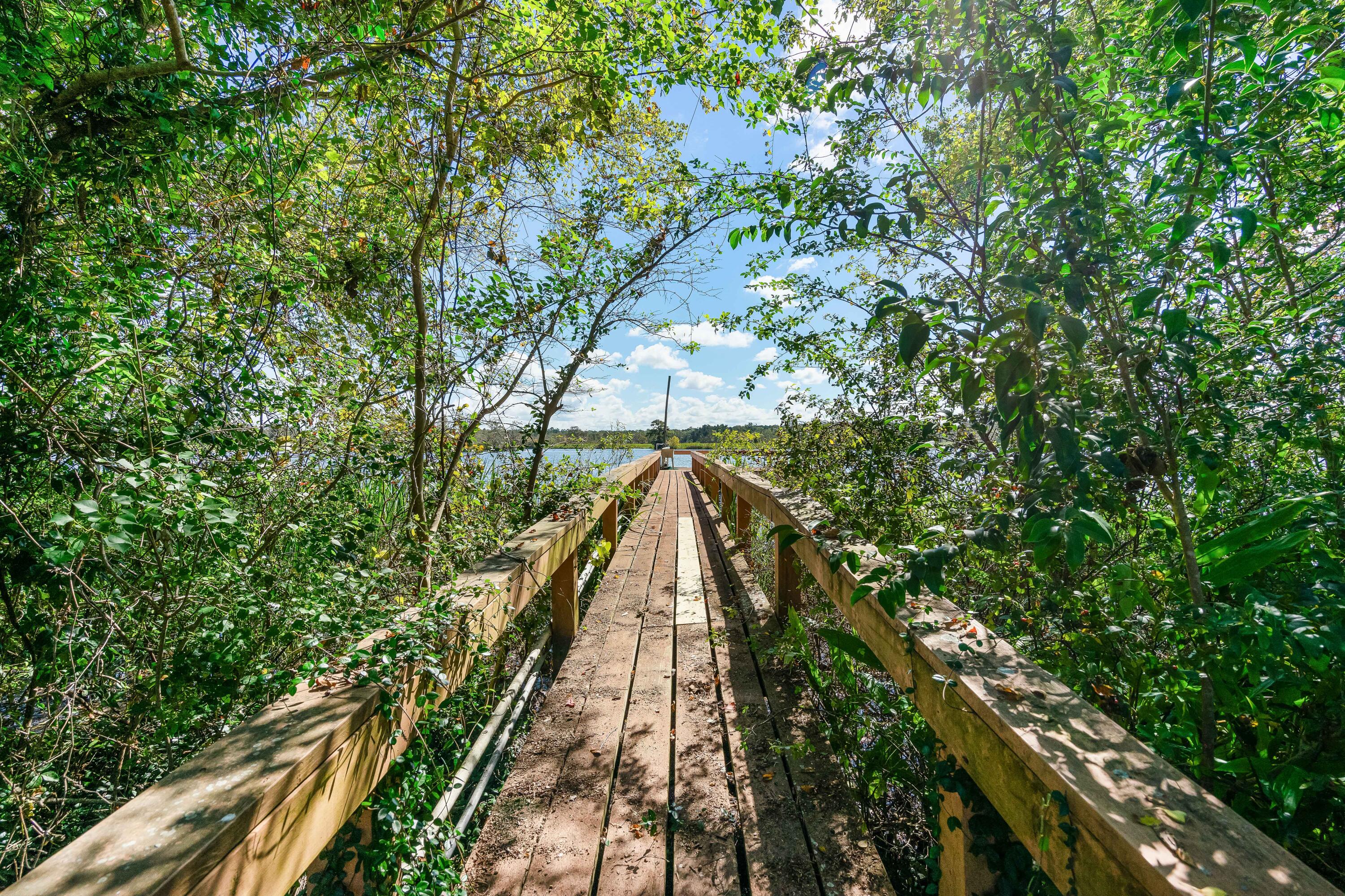 1610 Dennis Boulevard Moncks Corner, SC 29461 - Photo 3 of 44 05-DSC03674-2