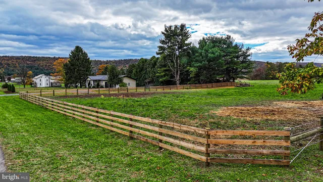 a view of a garden with an outdoor space