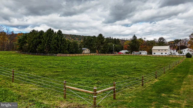 a view of a big yard with lawn chairs and large trees