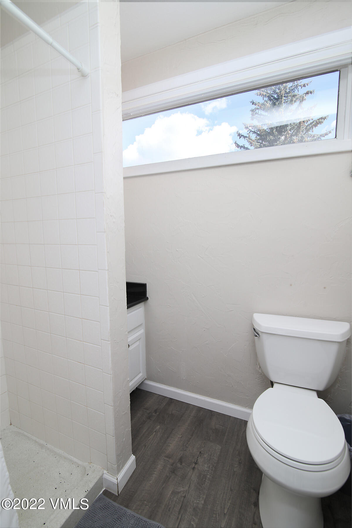 346 Eagle Road, Unit 2 Avon, CO 81620 - Photo 14 of 25 a white toilet sitting next to a shower
