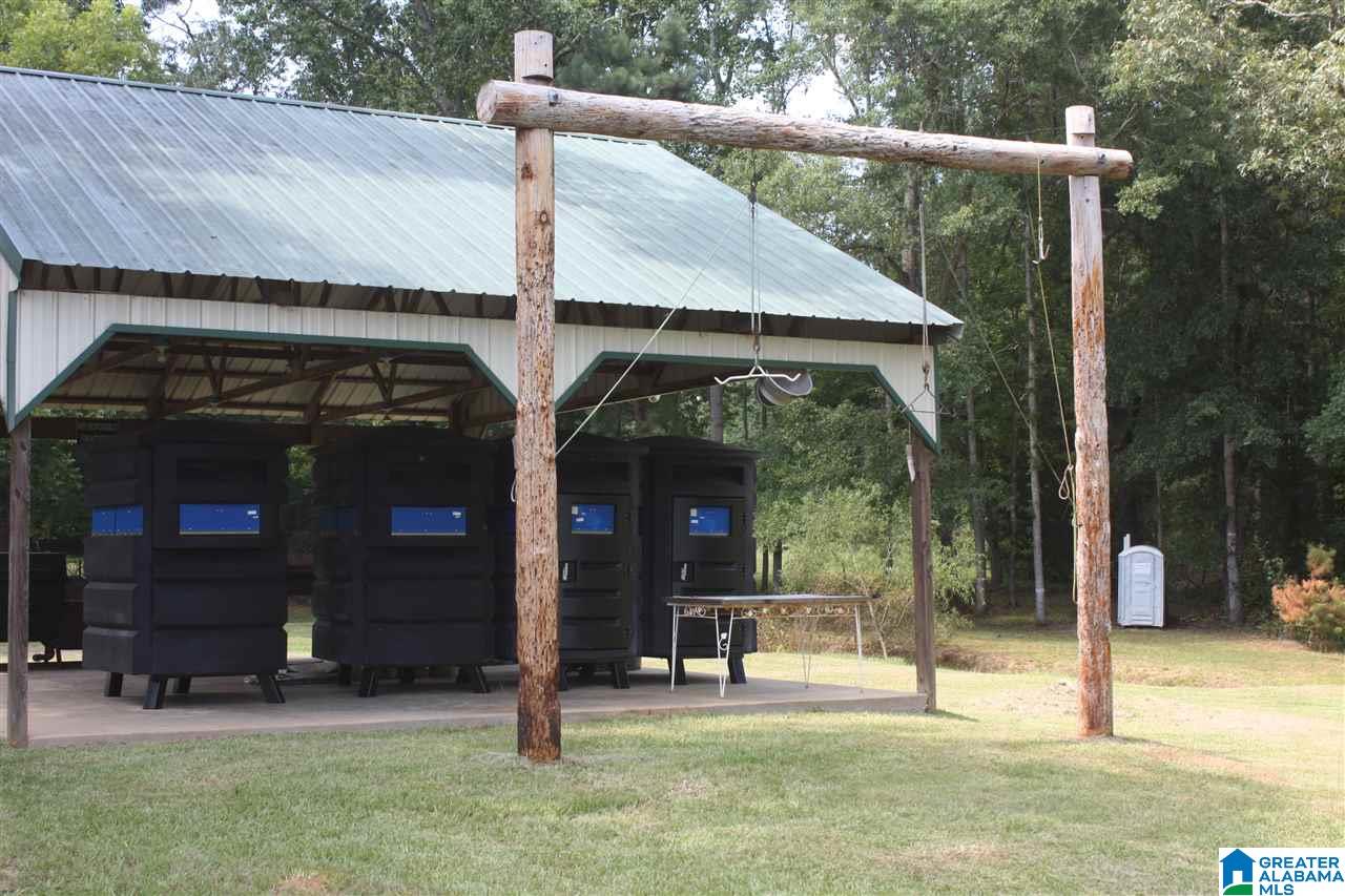 0 Louina Road Roanoke, AL 36274 - Photo 8 of 33