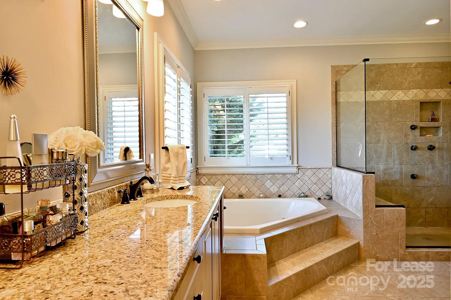 17234 Jetton Road Cornelius, NC 28031 - Photo 22 of 32 a bathroom with a tub a sink and a large mirror