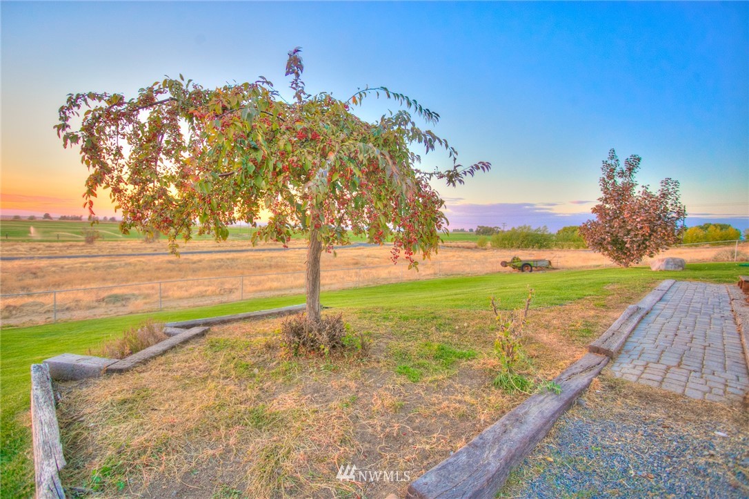 8927 Rd K Northeast Moses Lake, WA 98837 - Photo 9 of 25 Gallery Image 9