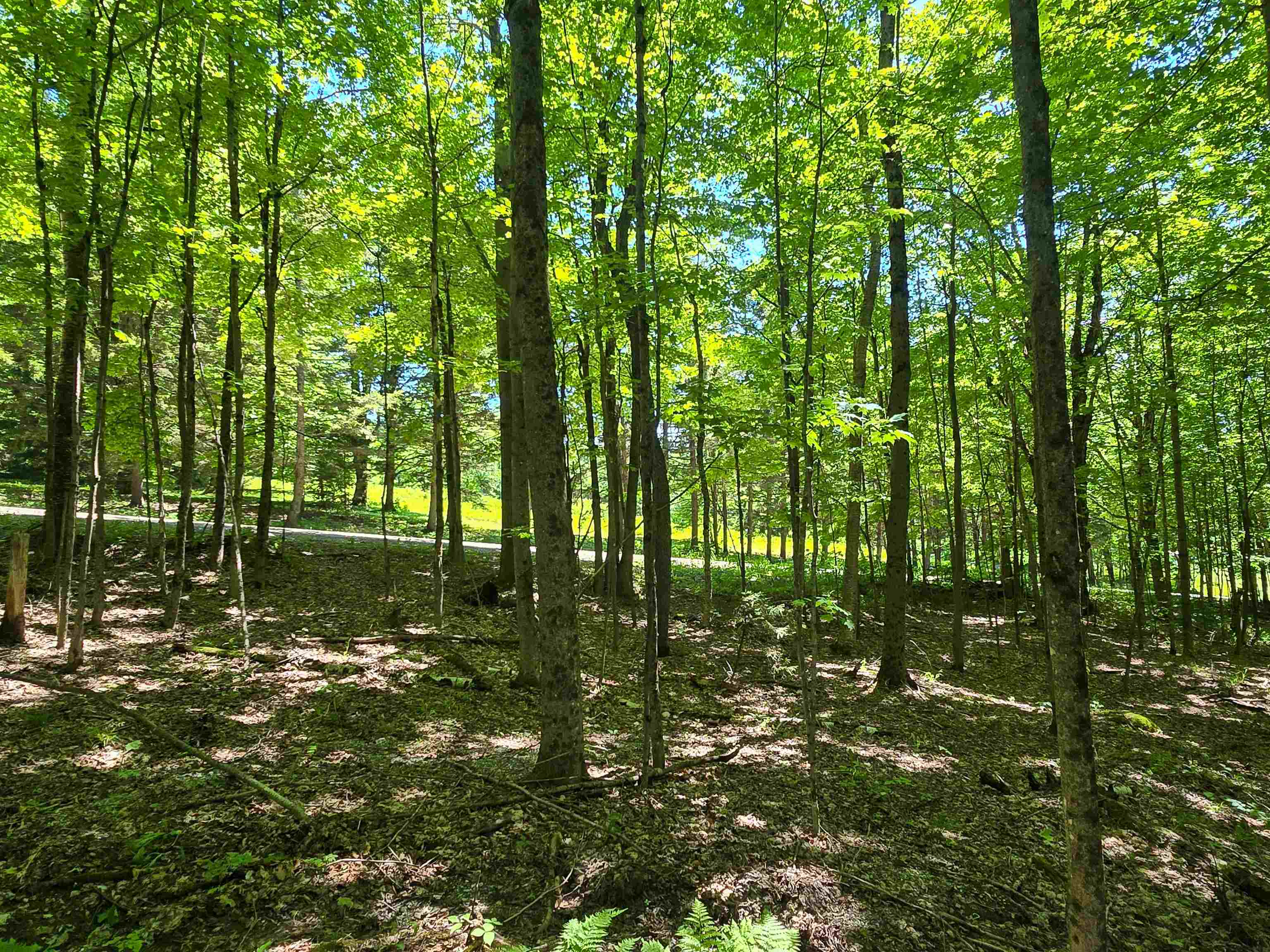 625 French Settlement Road Lincoln, VT 05443 - Photo 13 of 25