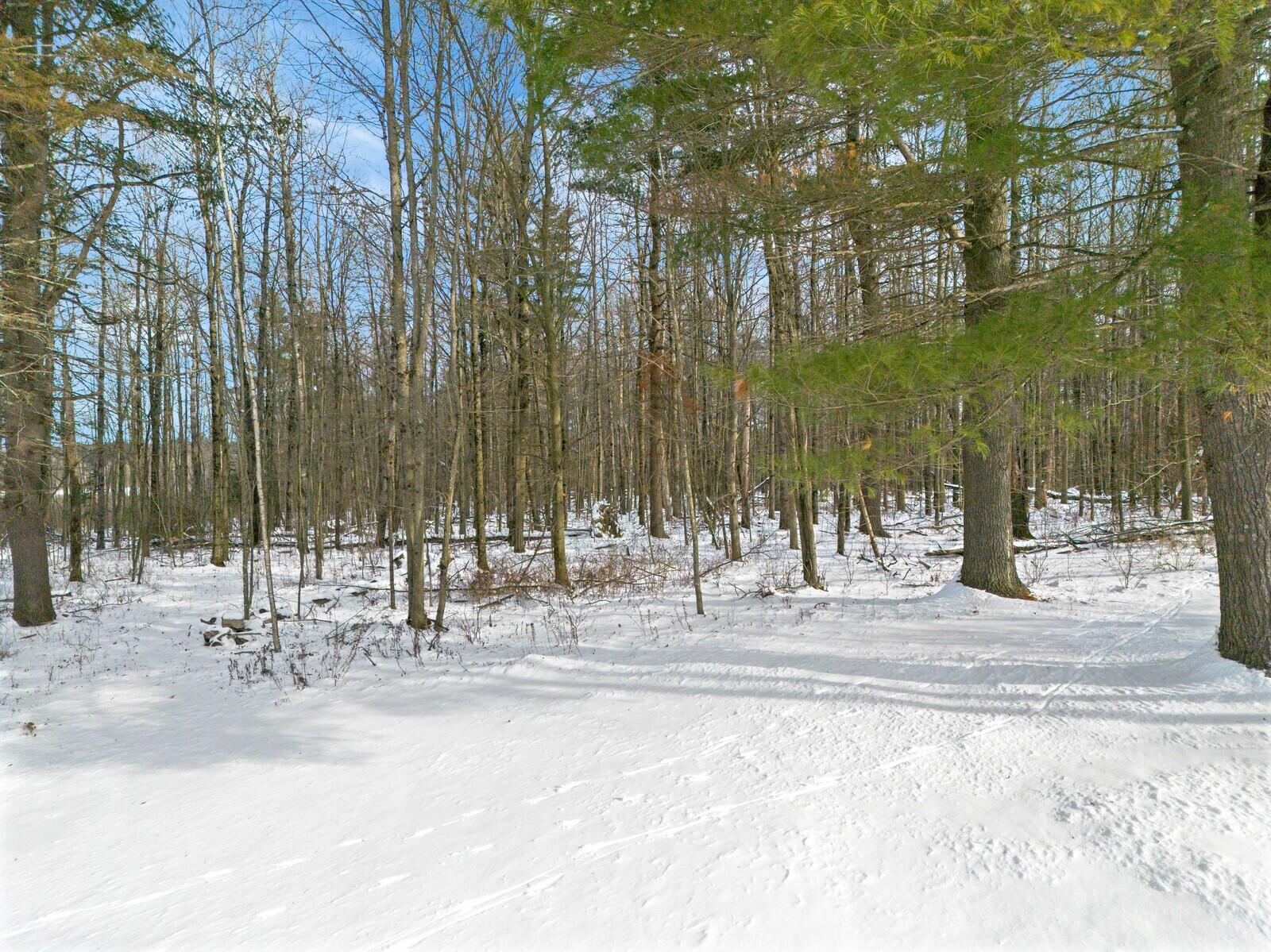 973 Hinckley Road Clinton, ME 04927 - Photo 42 of 48 42 back yard view
