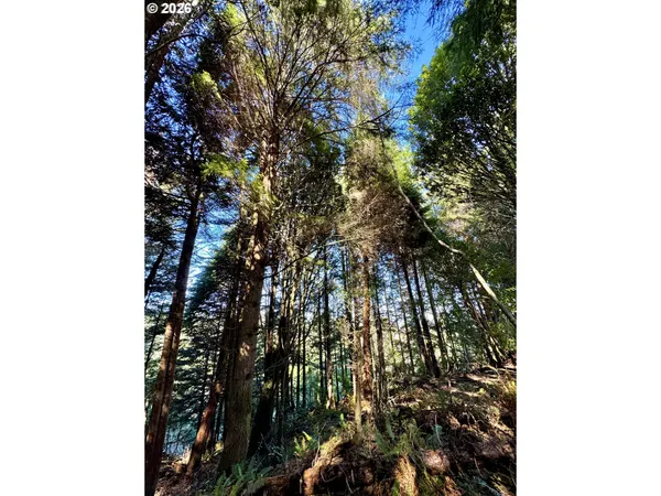 $499,000 | 0 West Lockhart Avenue, Coos Bay, OR 97420