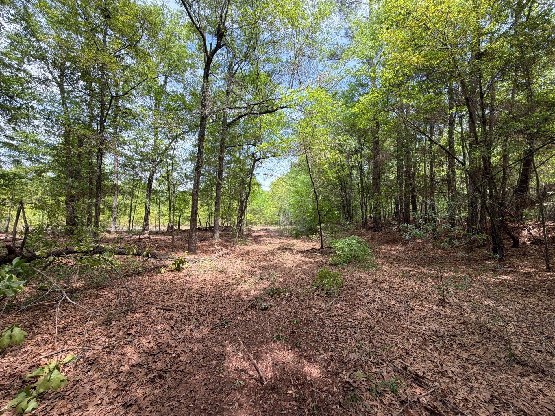 4 Rogers Cemetery Road, Unit RRF 4 Salley, SC 29137 - Photo 15 of 21 Gallery Image 15