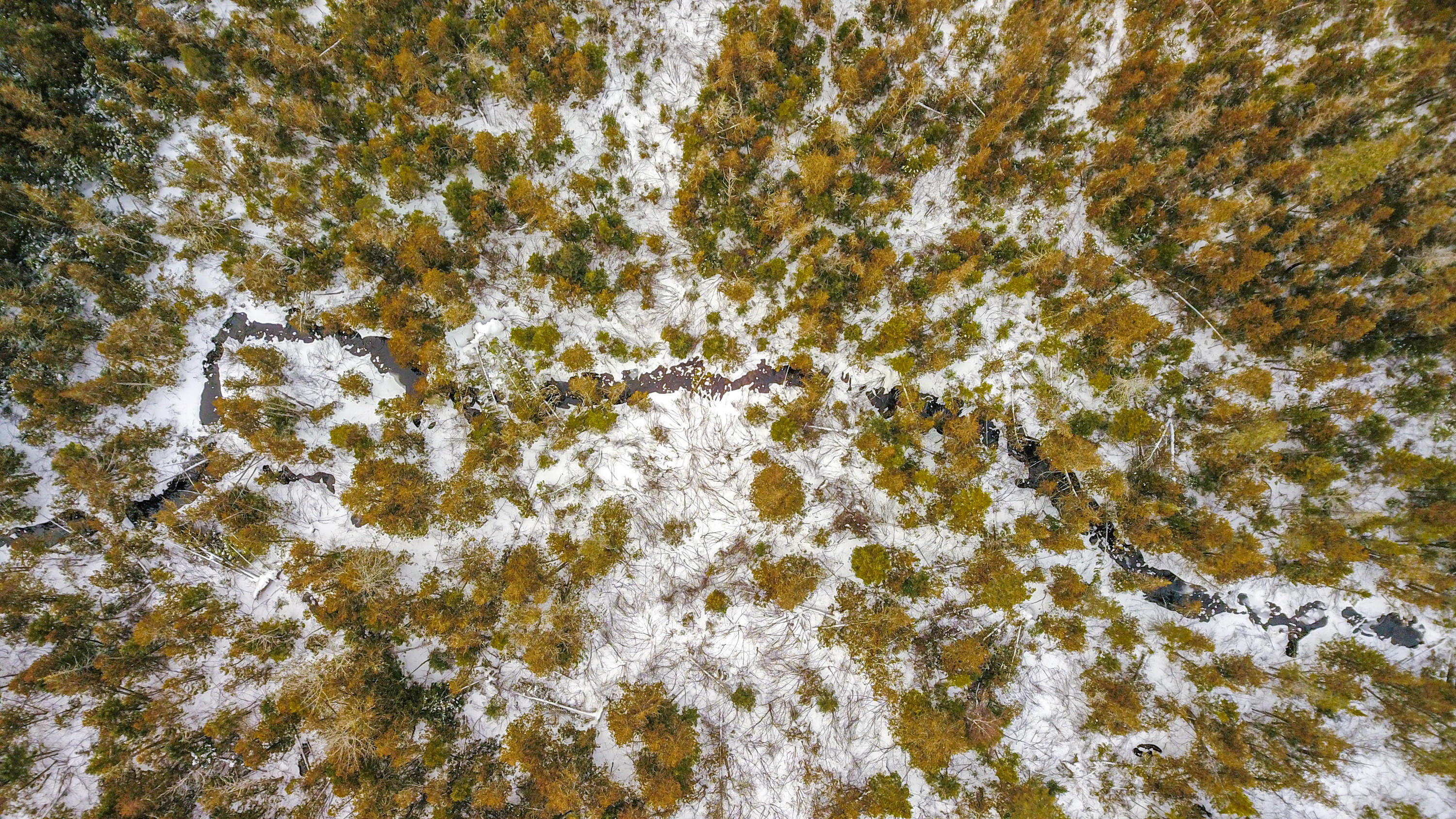 Lot 39 Off New Limerick Road Houlton, ME 04730 - Photo 23 of 24 Edited-20
