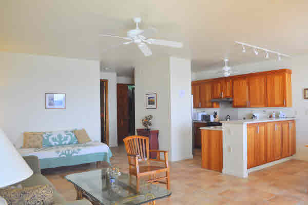 1661 Pe'e Road, Unit 3102 Koloa, HI 96756 - Photo 11 of 23 Gallery Image 11