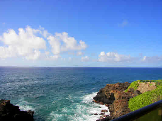 1661 Pe'e Road, Unit 3102 Koloa, HI 96756 - Photo 8 of 23 Gallery Image 8