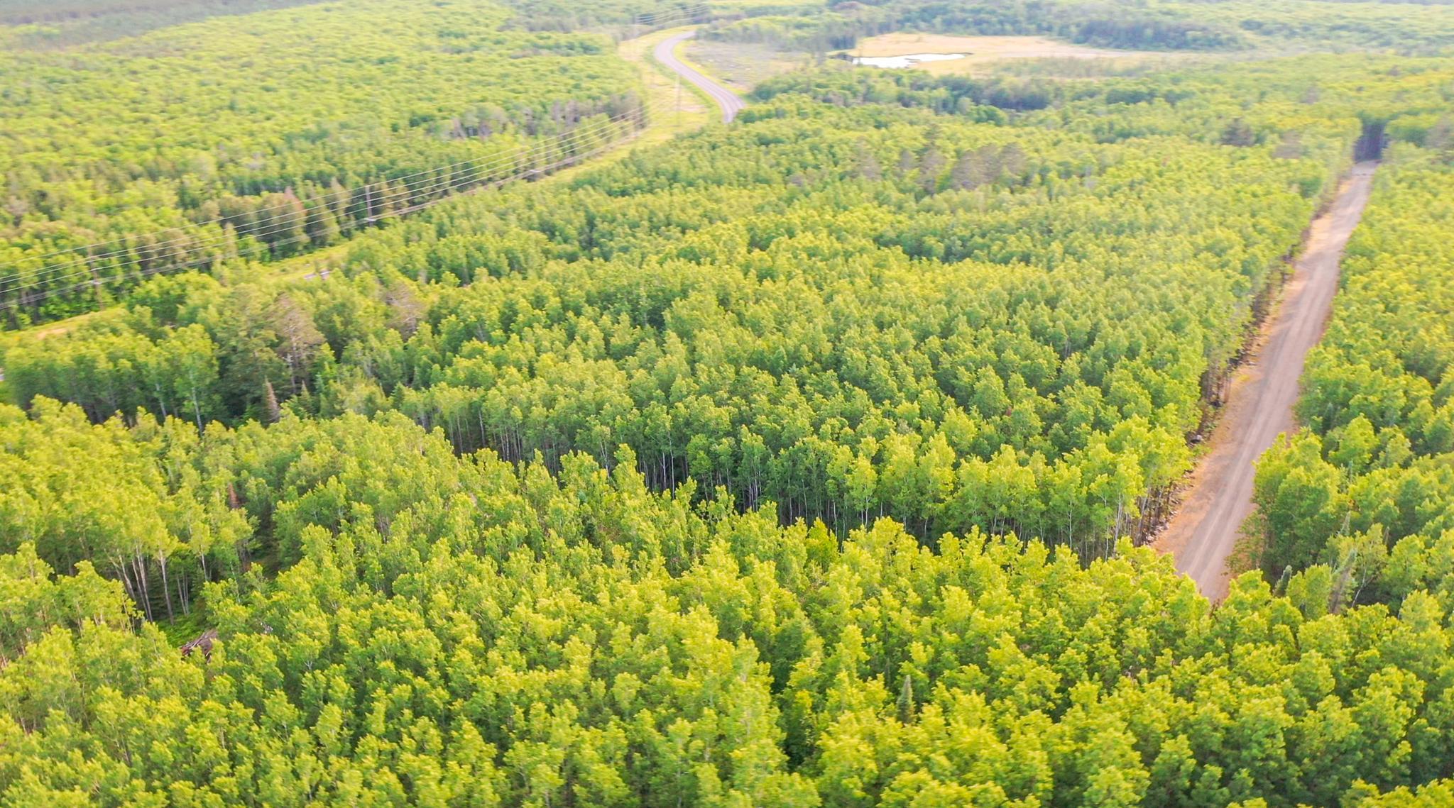 27 Frazer Bay Road Tower, MN 55790 - Photo 10 of 11