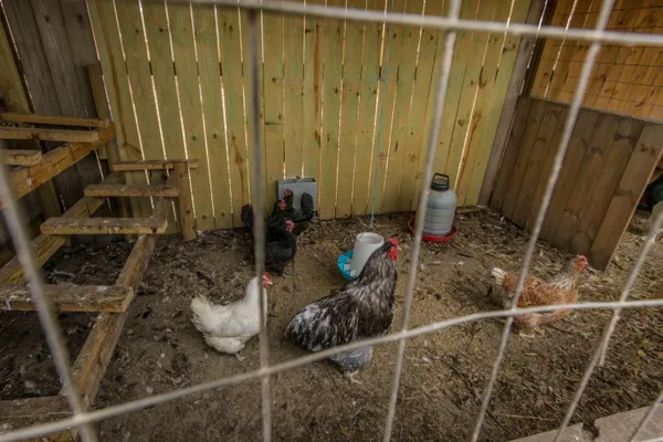 $115,000 | 592 Lamkin Road, Harlem, GA 30814