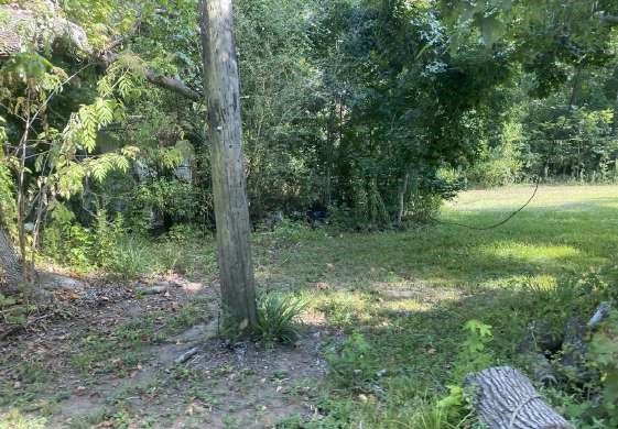 203 Cedar Street Daisetta, TX 77564 - Photo 10 of 10