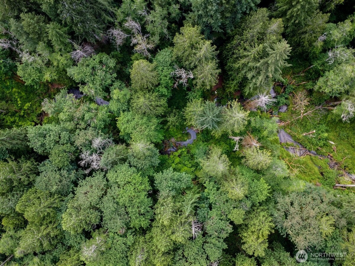 0 Nels Nelson Road Northwest Bremerton, WA 98311 - Photo 2 of 22