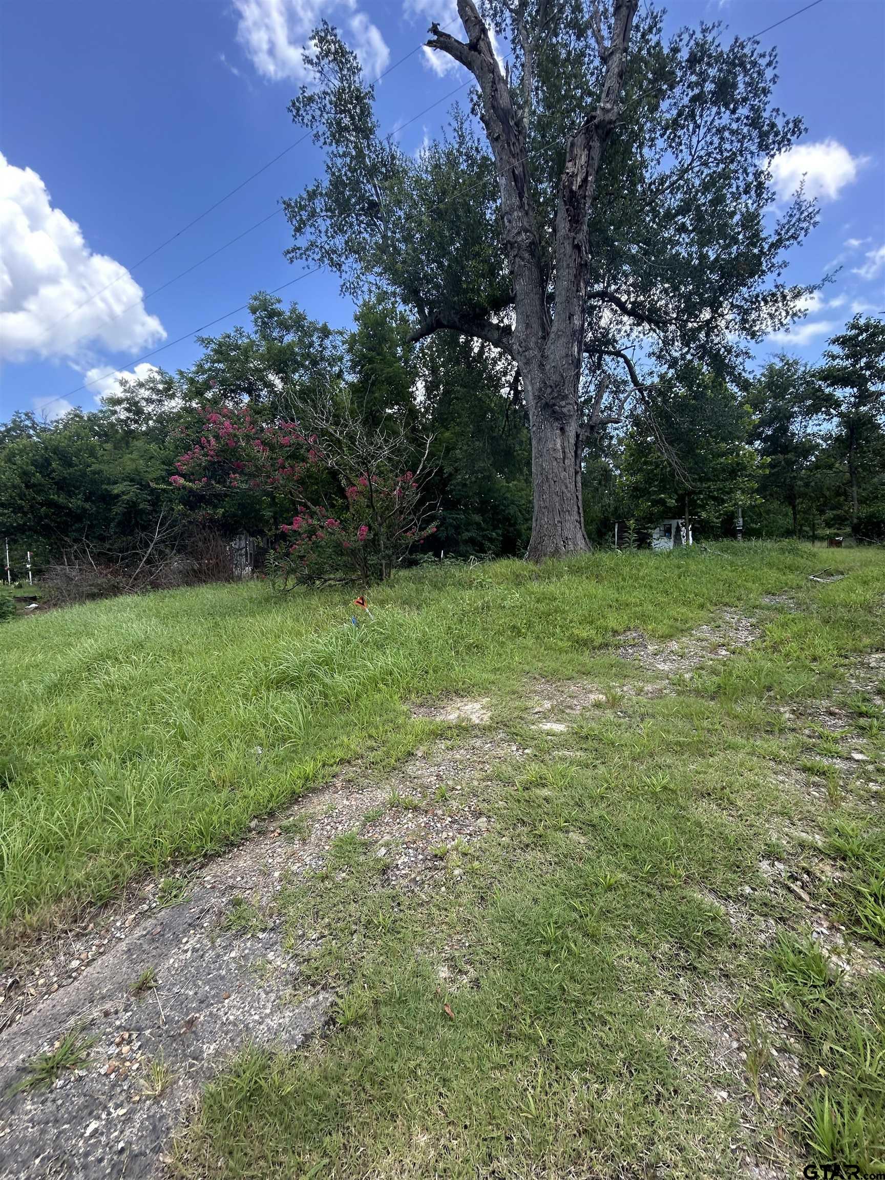6447 State Highway 155 Gilmer, TX 75645 - Photo 11 of 12 a view of a field with a tree in the background