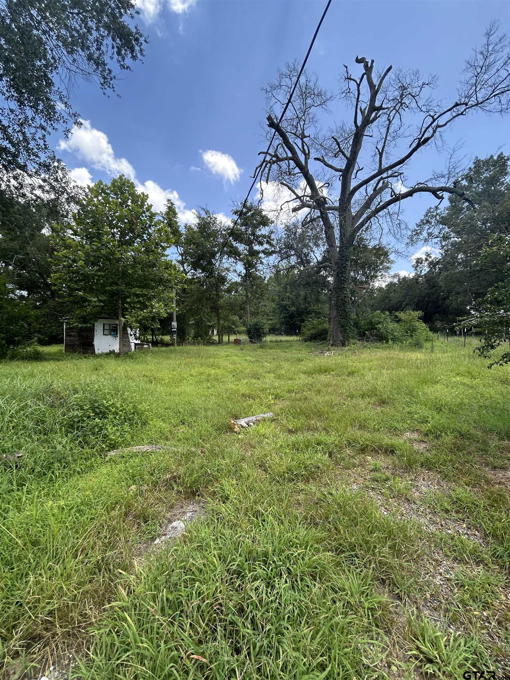 6447 State Highway 155 Gilmer, TX 75645 - Photo 2 of 12 a view of a trees with a big yard