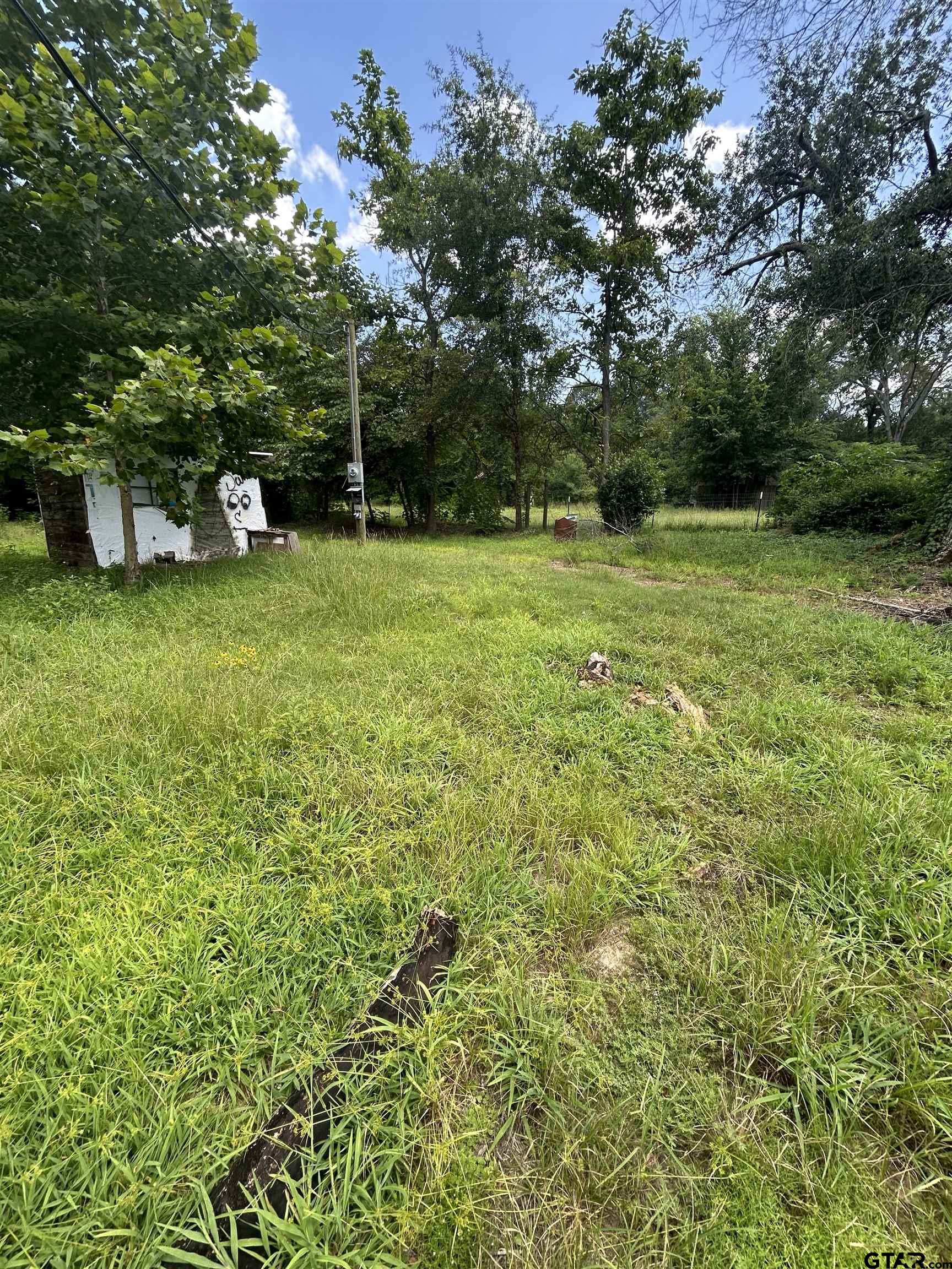 6447 State Highway 155 Gilmer, TX 75645 - Photo 3 of 12 a garden view