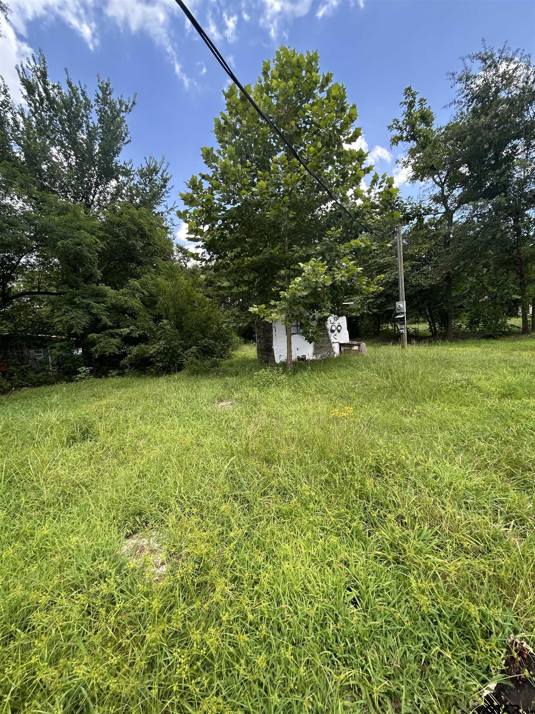 6447 State Highway 155 Gilmer, TX 75645 - Photo 5 of 12 a view of a backyard with plants and large trees