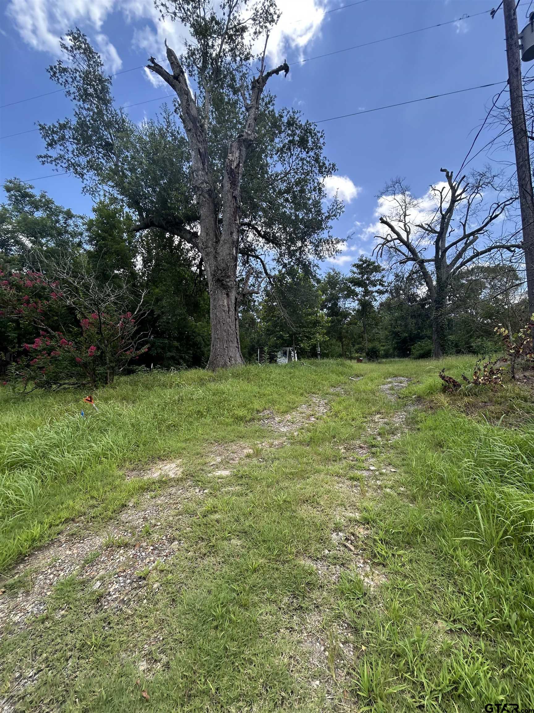 6447 State Highway 155 Gilmer, TX 75645 - Photo 7 of 12 a view of a green field with trees