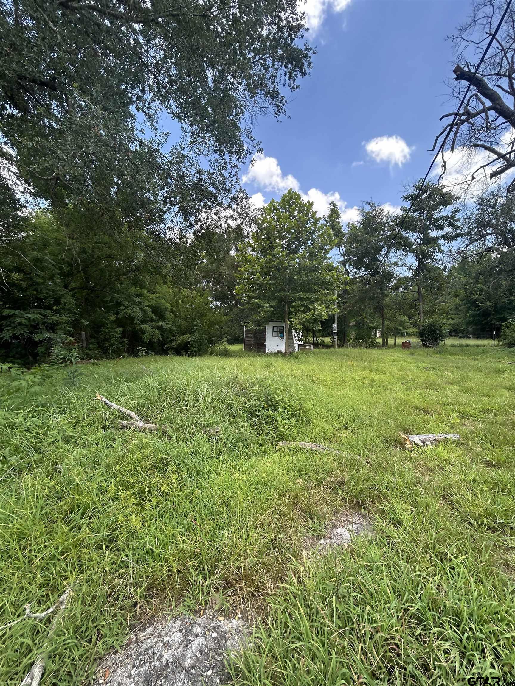 6447 State Highway 155 Gilmer, TX 75645 - Photo 8 of 12 a view of a trees with a yard