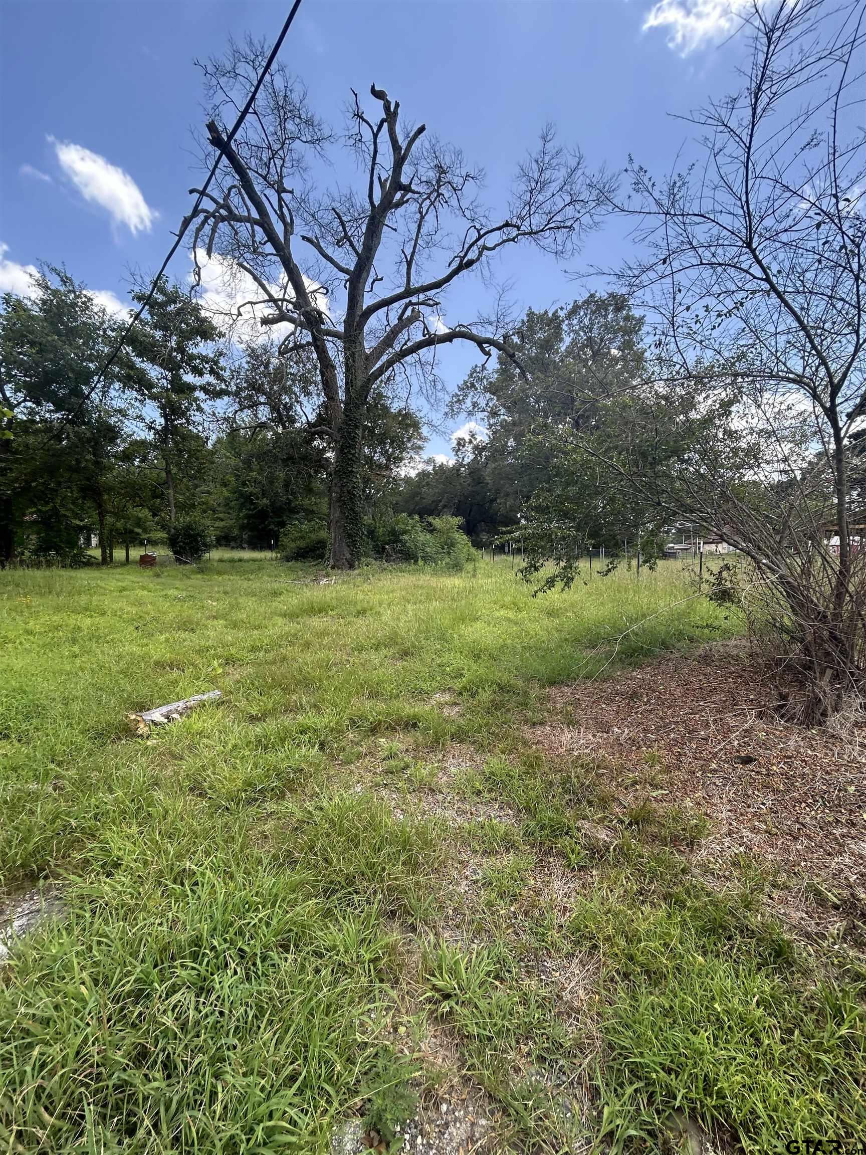 6447 State Highway 155 Gilmer, TX 75645 - Photo 9 of 12 a view of a field with a tree