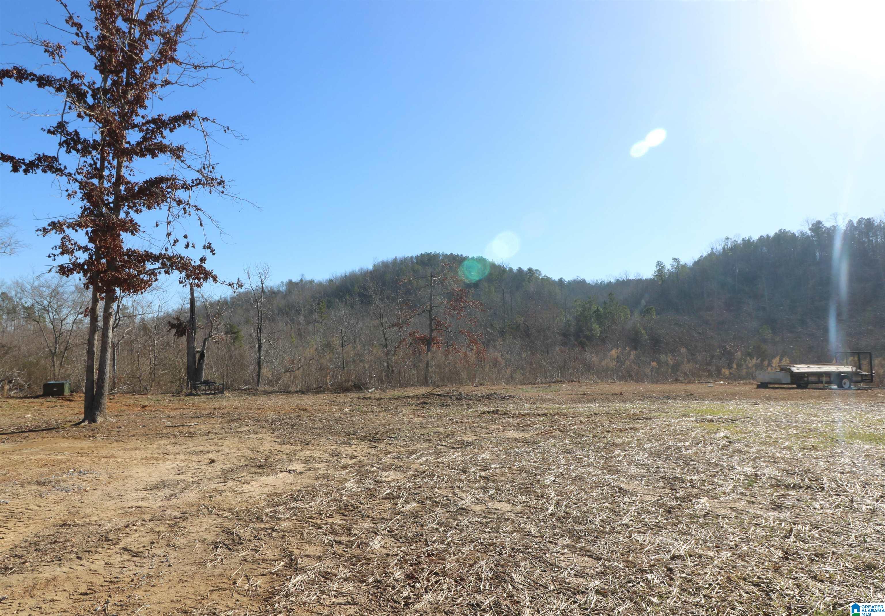 400 3 Cedars Road Ohatchee, AL 36271 - Photo 2 of 44