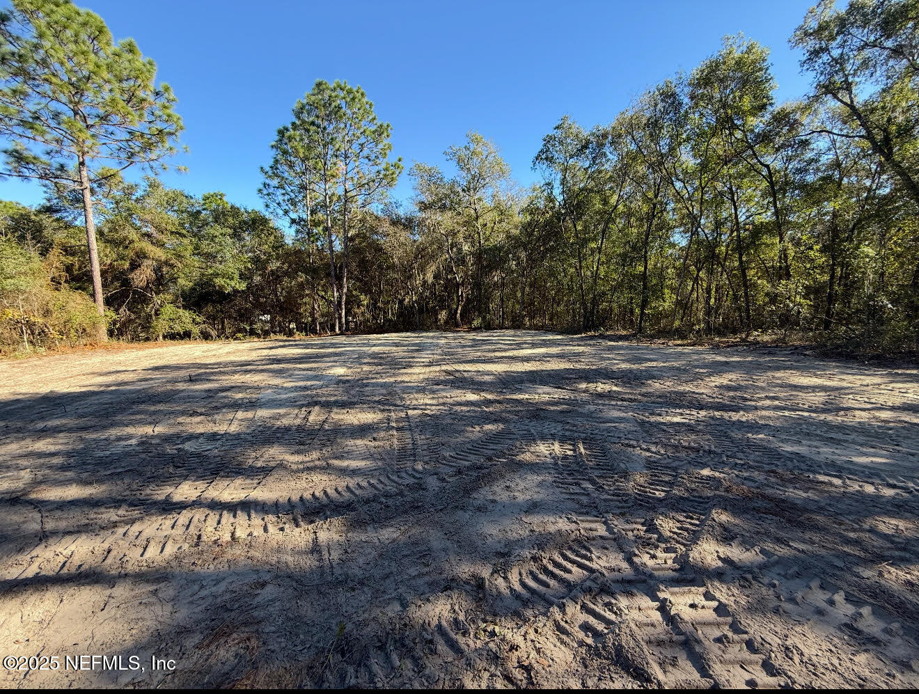 105 Race Street Hawthorne, FL 32640 - Photo 1 of 7 a view of a yard with large trees